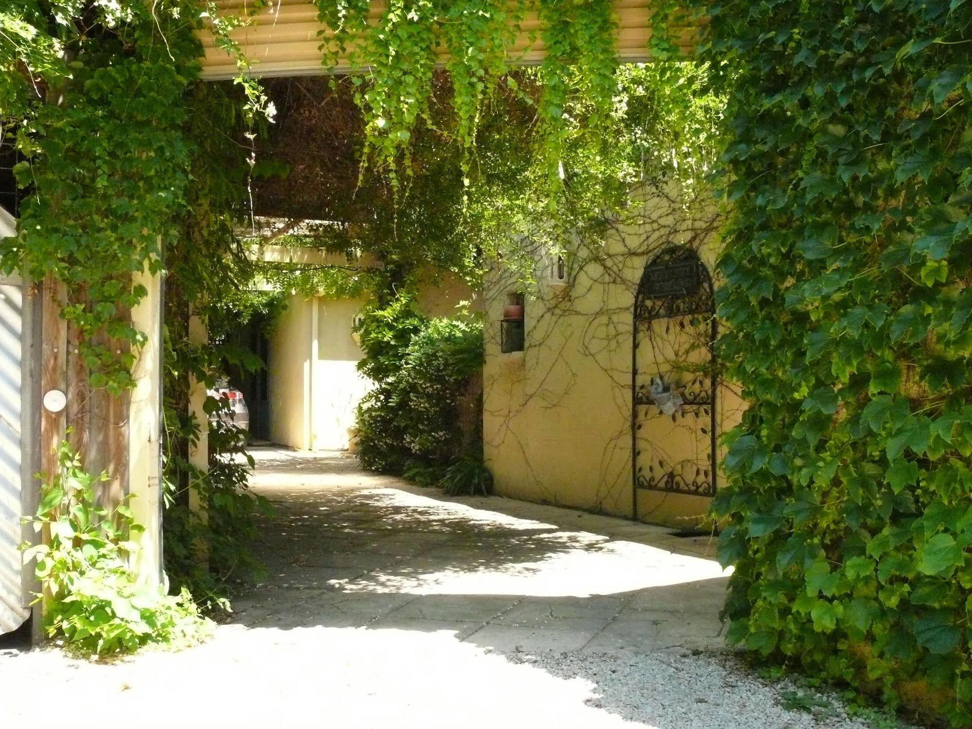 阿塞尔纳小屋住宿加早餐旅馆 阿德莱德 外观 照片